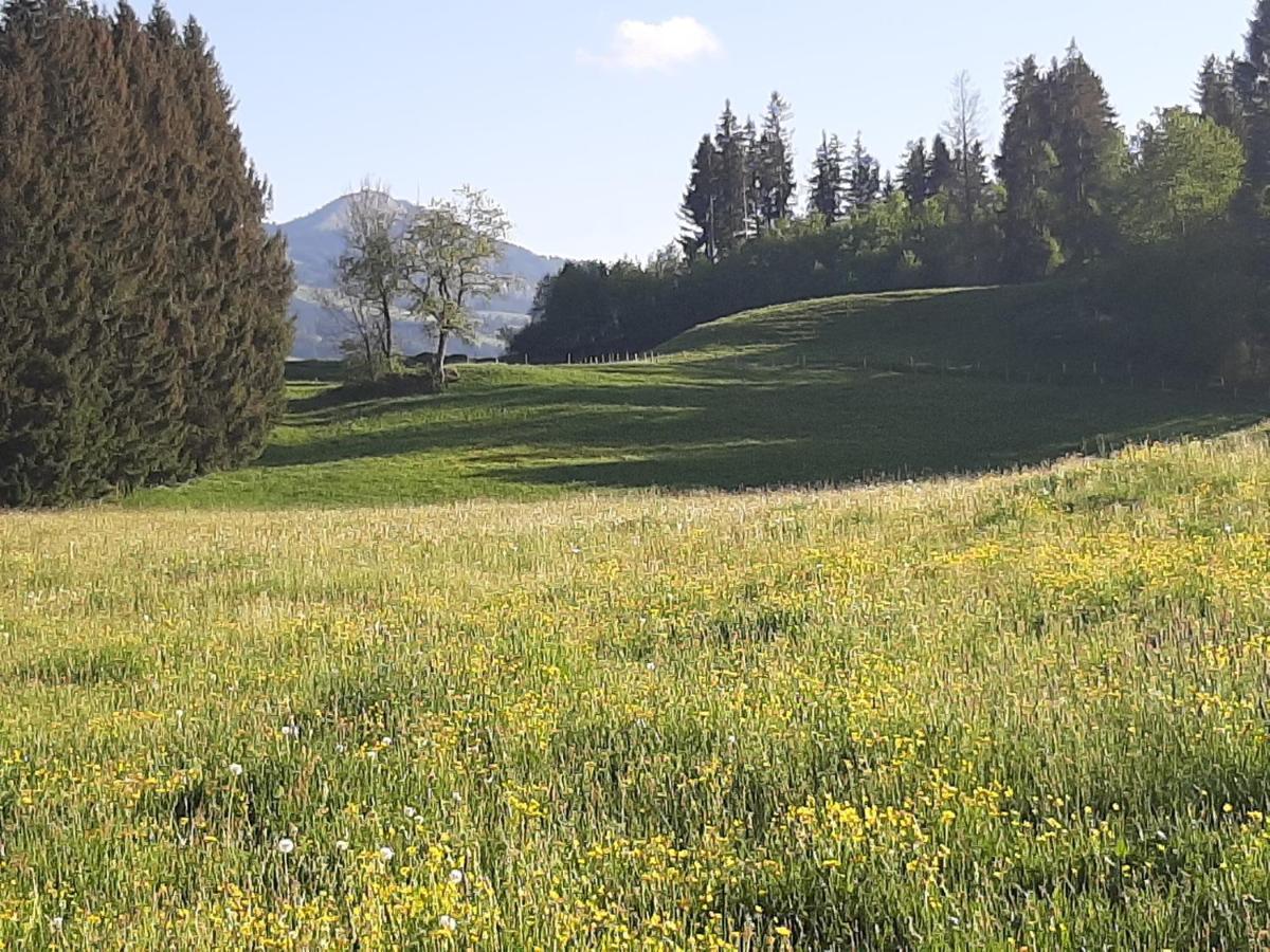 Traumgarten Allgaeu Rettenberg Dış mekan fotoğraf