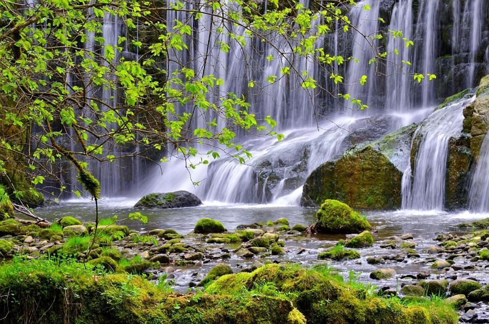 Traumgarten Allgaeu Rettenberg Dış mekan fotoğraf