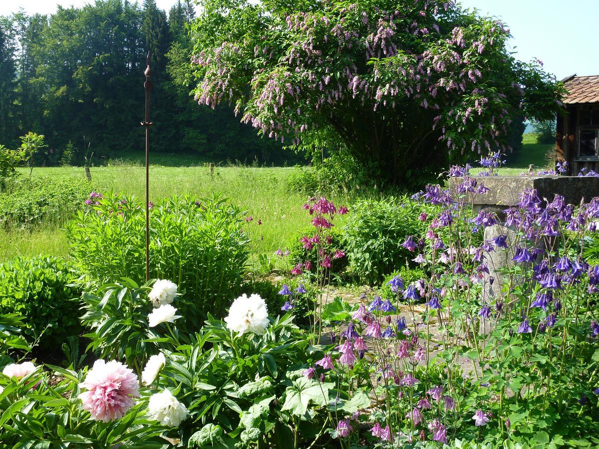 Traumgarten Allgaeu Rettenberg Dış mekan fotoğraf