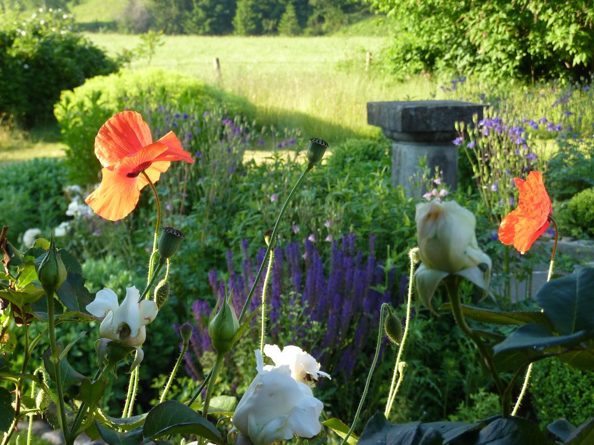 Traumgarten Allgaeu Rettenberg Dış mekan fotoğraf